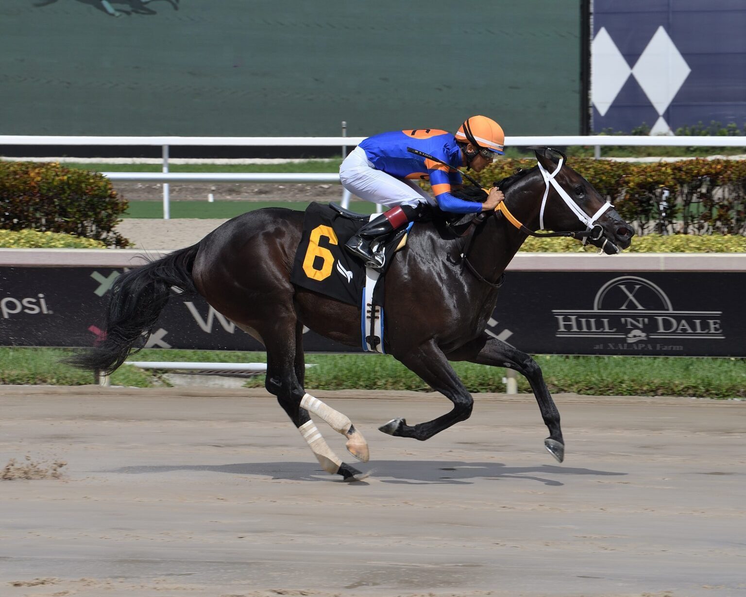 One Guyana Racing conquers Barbados… Next stop The Mouttet Mile, Jamaica