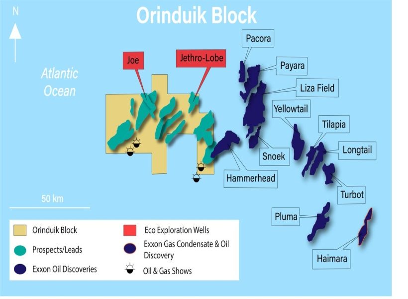 Hammerhead sanction ignites fresh hope for Eco Atlantic’s Jethro prospect