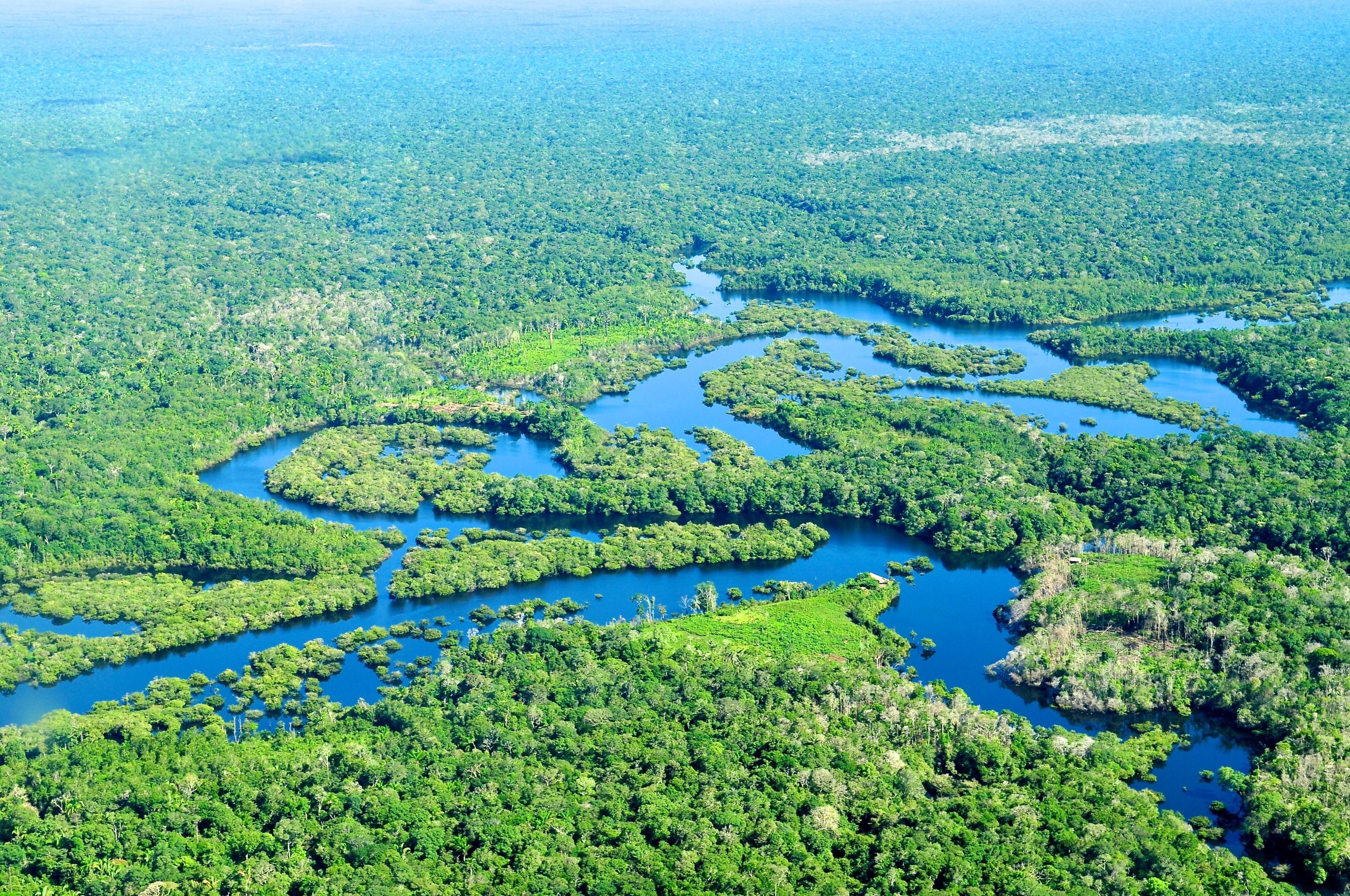 Brazil’s Petrobras gets green light to drill near mouth of Amazon river