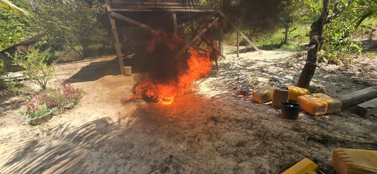 4 -day police raid destroys ganja farms in Upper Berbice