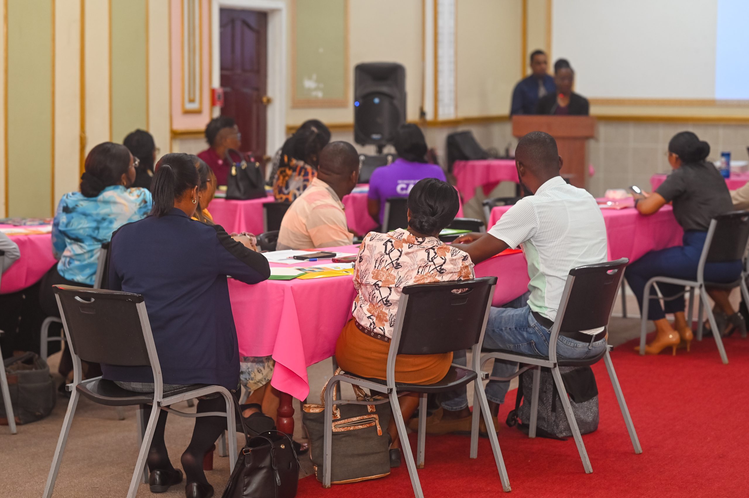 Human Services Ministry hosts training to tackle youth and family violence