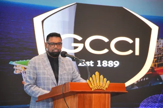 Pres. Ali tells private sector: ‘Stop dreaming, start building new industries’