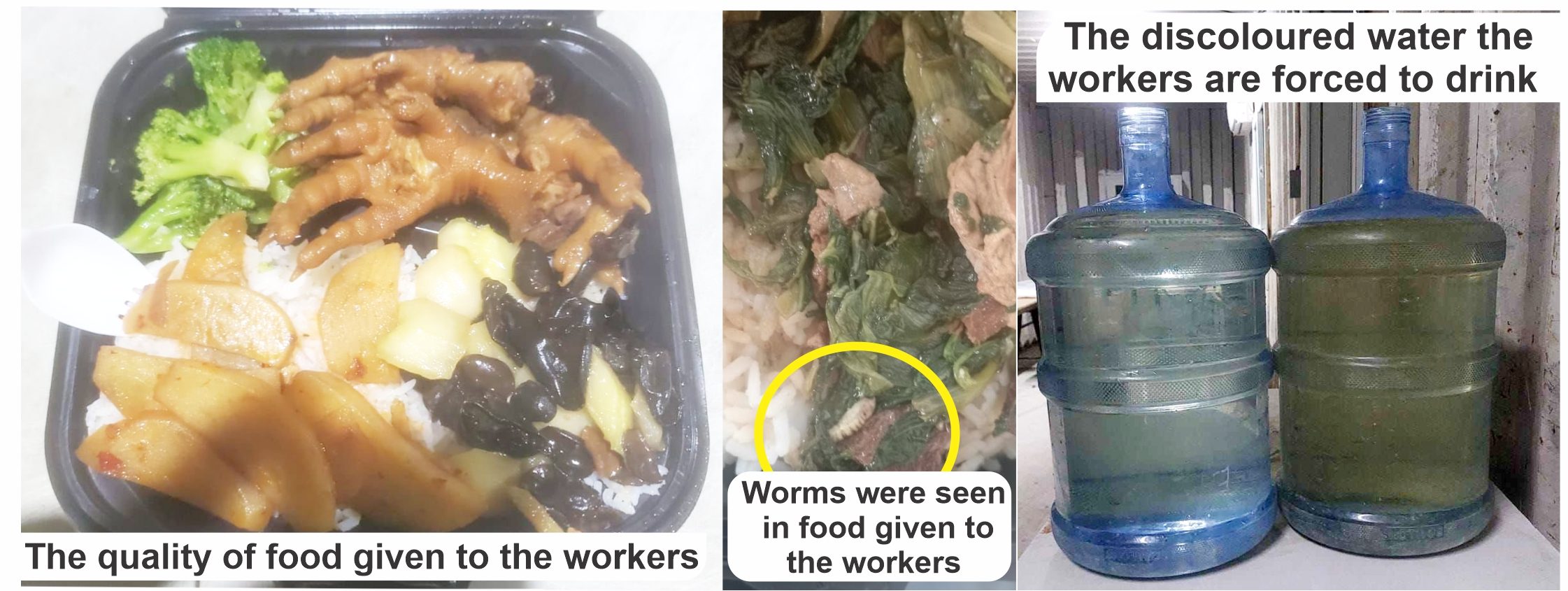 Workers cry out over ‘slave-like’ conditions at Chinese gold mine