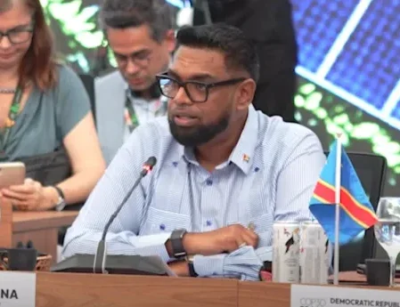 Hasty ban in fossil fuel unfair to developing nations – Pres. Ali tells COP30