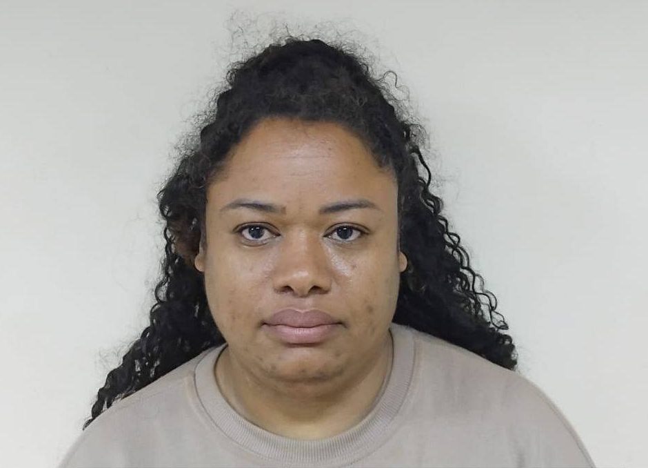 Chef fined for illegally importing dogs