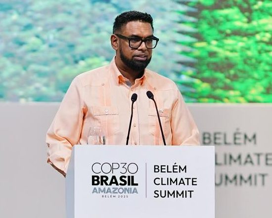 Pres. Ali: COP 30 must be turning point for climate action