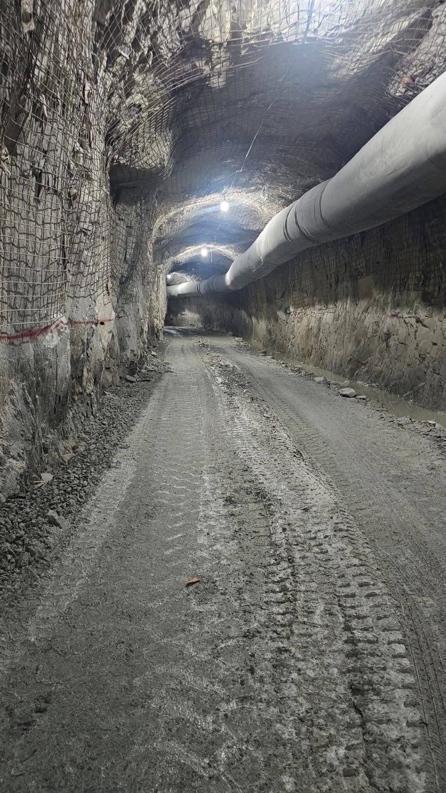 Over 200,000 ounces of gold declared in first half of 2025 – BOG