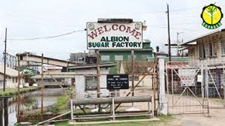 Bids opened for extension of cane yard at Albion Estate