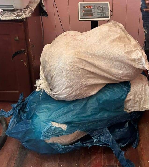 164 pounds of ganja seized in early-morning Berbice operation