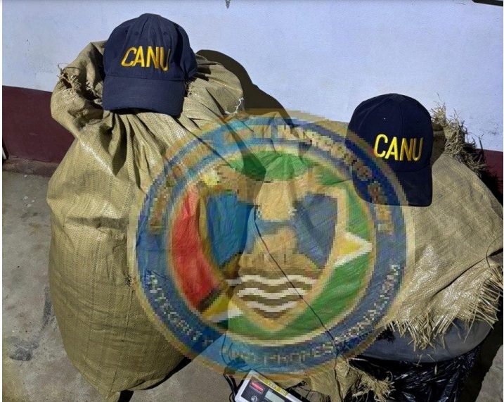 One arrested as CANU nets 66lbs of ganja, cocaine