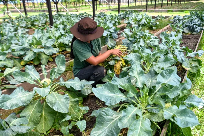 OP:ED: International Year of the Woman Farmer 2026