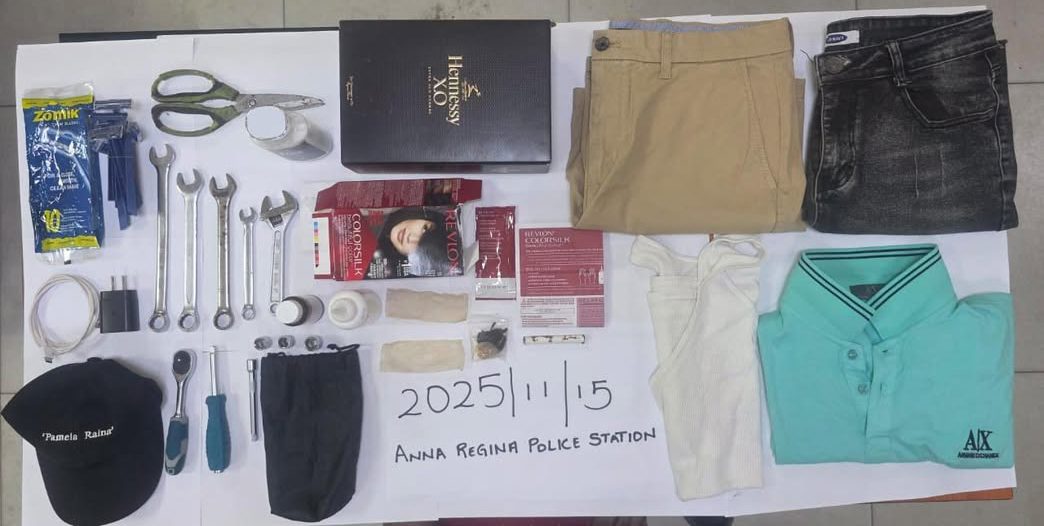 Thief flees with hair dye, tools, clothes from Essequibo home