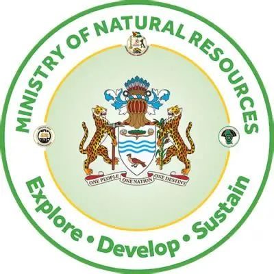 Govt., GGDMA move to tighten enforcement amid reduced gold declarations