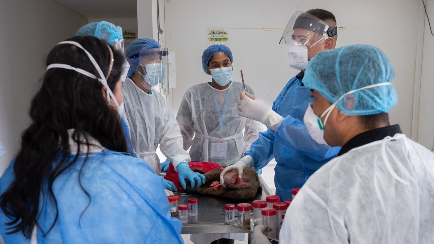 PAHO’s year in health: 10 highlights from 2025