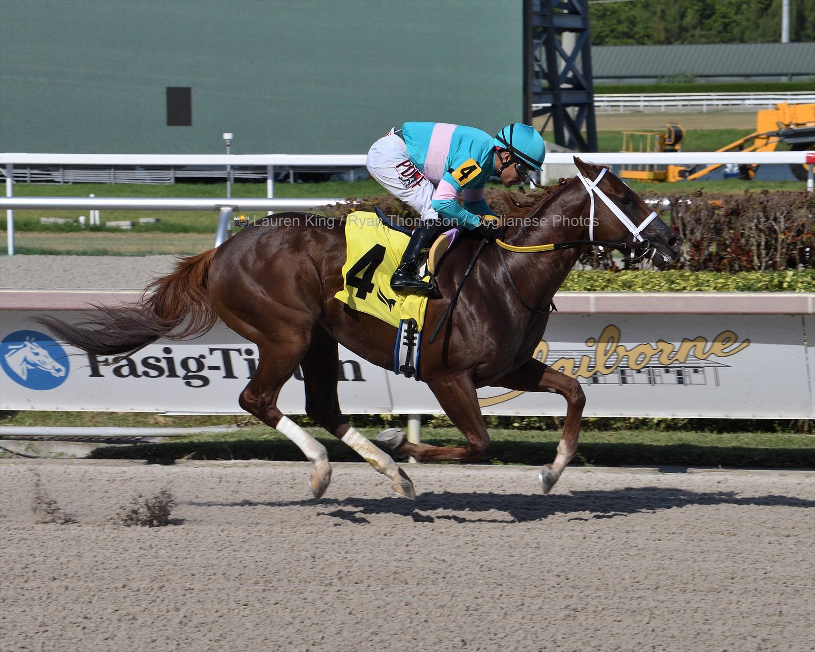Nautical Star and Unspun lead Guyana’s Charge in Jamaica’s Richest Horserace