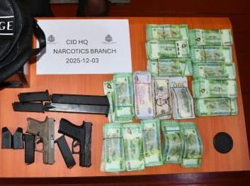 Linden man nabbed with guns, ammo, millions in cash  