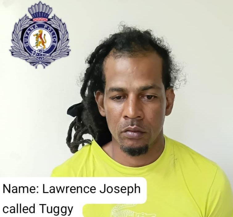 Businessman remanded for possession of unlicensed firearm, ammo