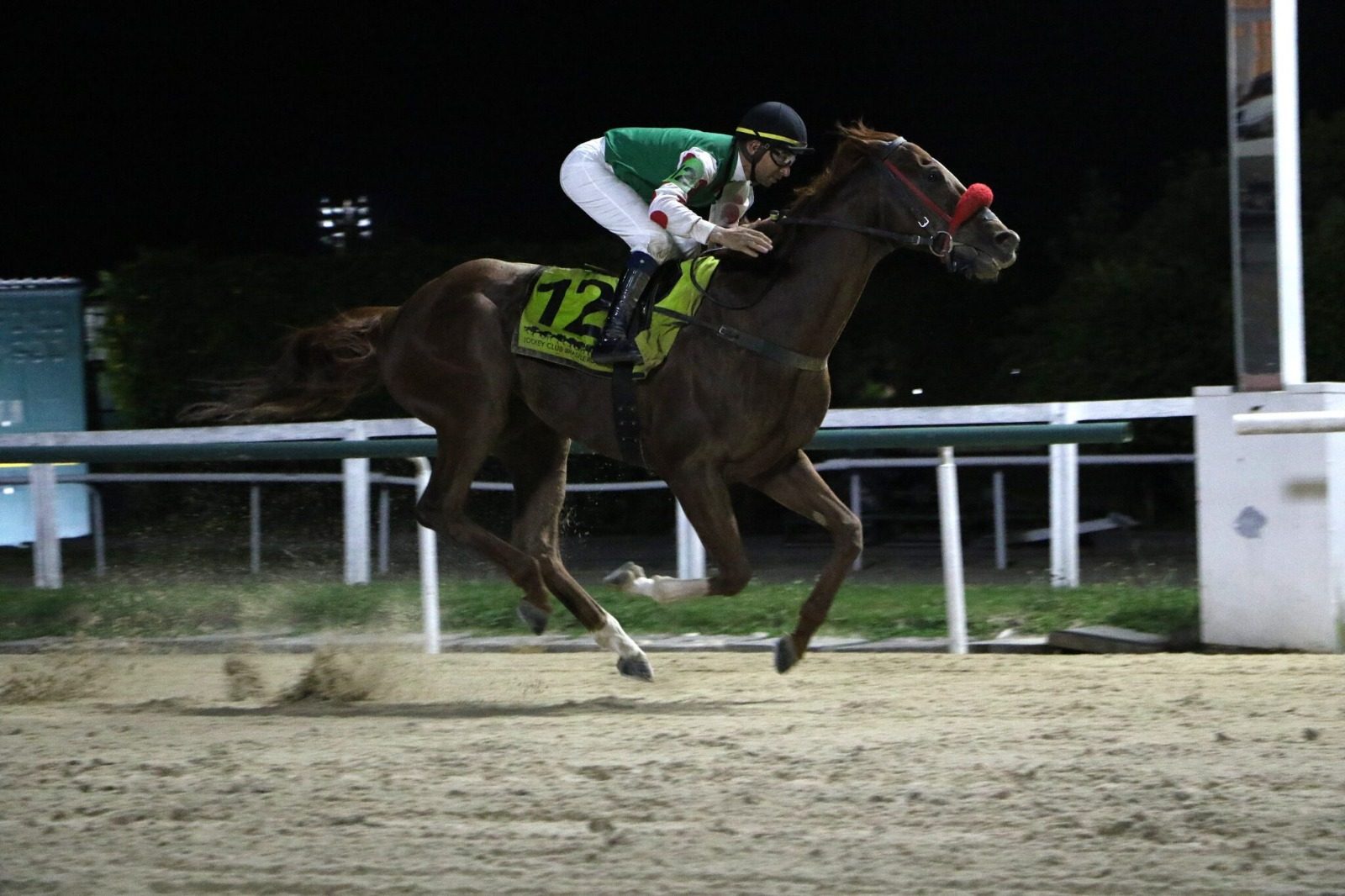 Slingerz Racing Stable starts 2026 on a high with G3 win at Gávea