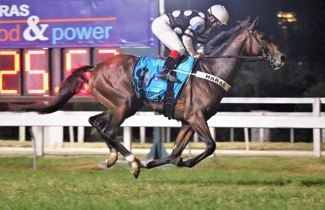 J’s Horse Racing Stable is looking to create more impact at today’s Rising Sun Turf Club meet