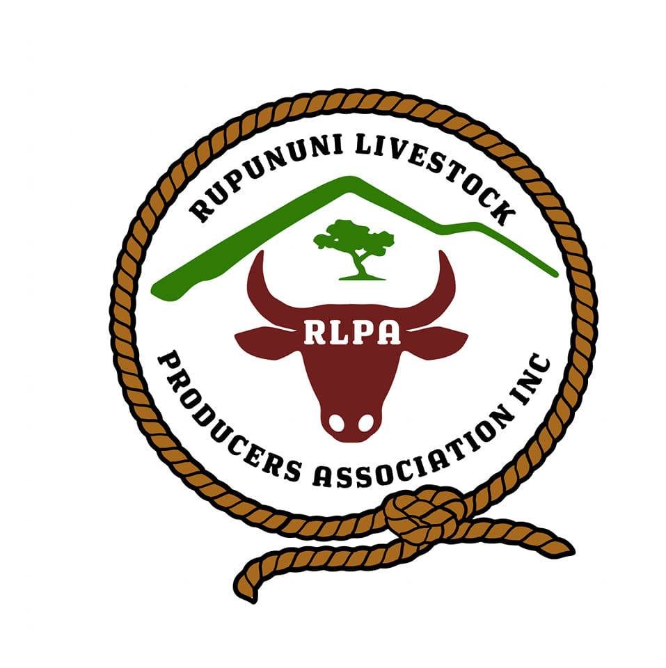 Rupununi livestock producers sounds alarm on cattle rustling