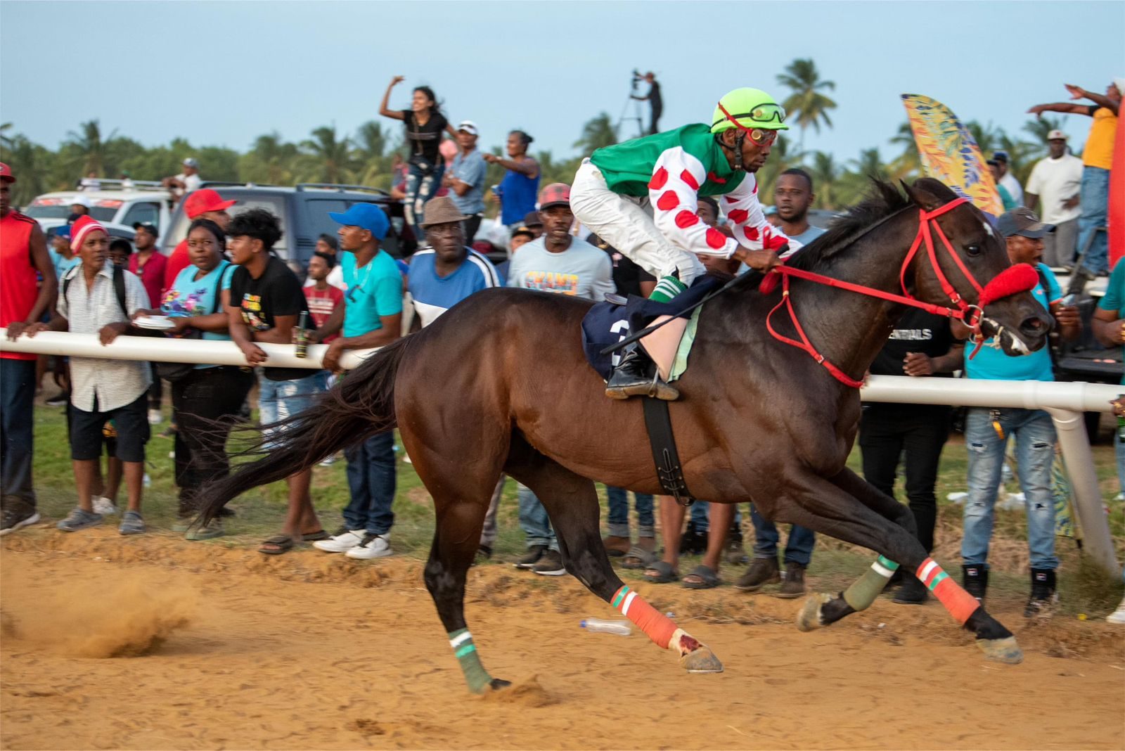 Slingers Racing Stable senses victory at the Banks Classic
