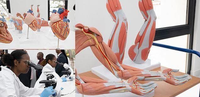 UG introduces Associate Degree in Pre-Medical Sciences