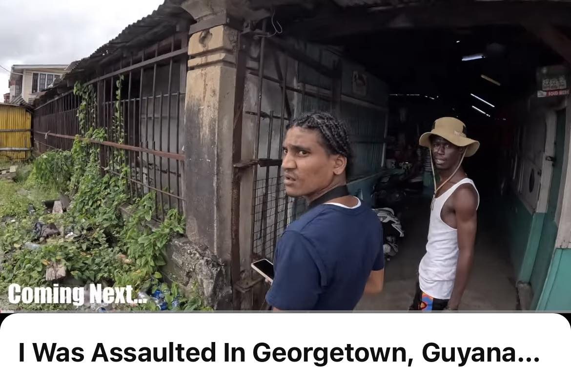 Police launch probe into attacks on French vlogger