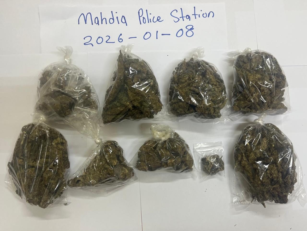 Ganga found in abandoned yard at School Street, Mahdia