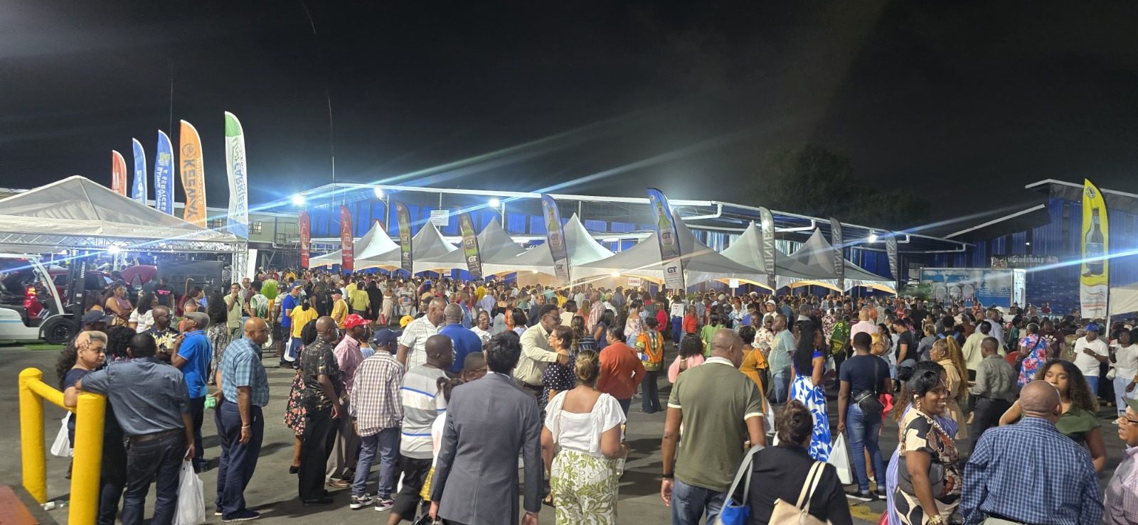 Banks DIH to appeal injunction on share ownership by-law – Chairman