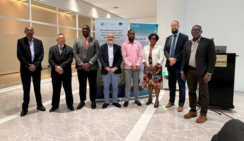 FAO, ILO, and ITC partner to enhance linkages in Guyana’s seafood sector