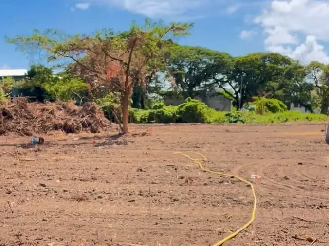 Construction of long-awaited law school to start this year