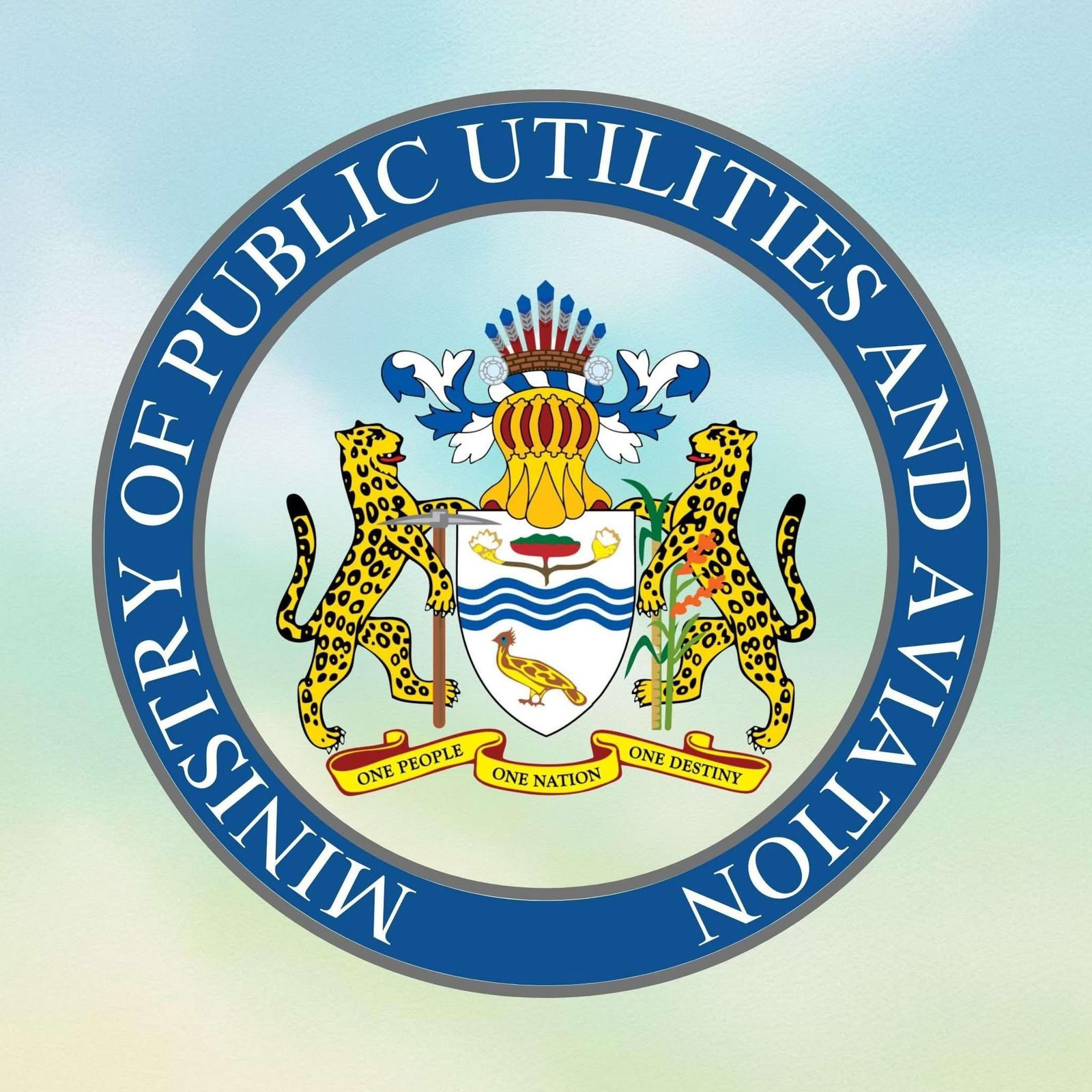 Govt. invites bids for Lethem, Rose Hall airports