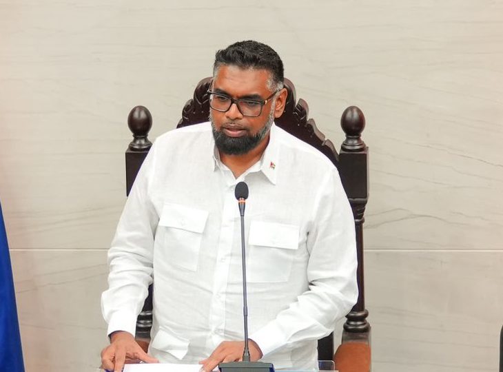 Pres. Ali urges small states to unite against crime, trade barriers 