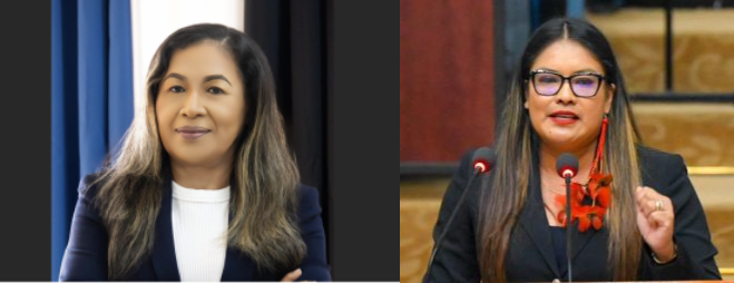 Amerindian Affairs Minister, WIN MP clash over hinterland development during budget debate