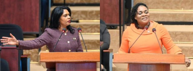 ‘Fluff Budget” vs “Future Investment” – McDonald and Parag clash over Education priorities