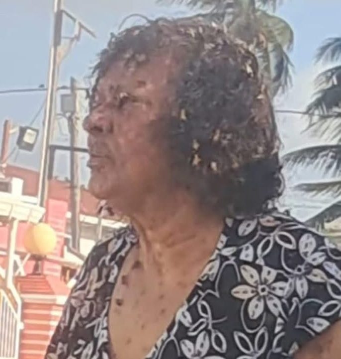 Elderly woman dies following bee attack at Success