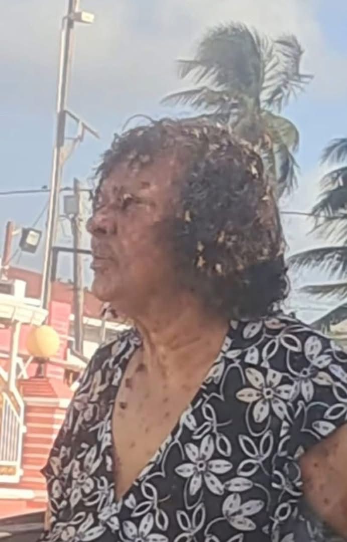 Elderly woman dies following bee attack at Success