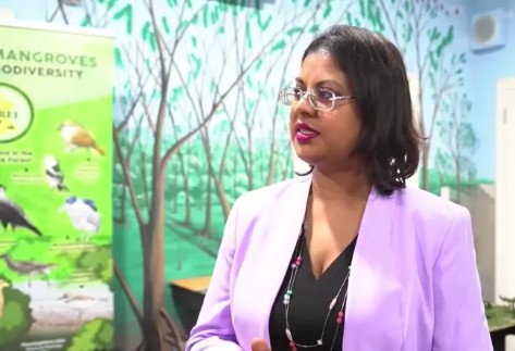 Guyana sold carbon credits to 19 airlines under LCDS framework