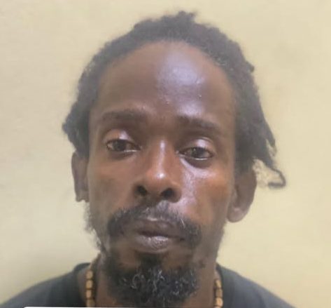 Construction worker charged with manslaughter, on $500k bail