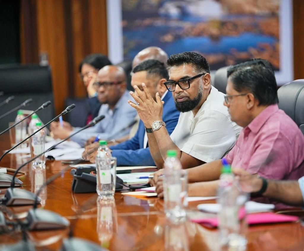 Pres. Ali aims for more efficient, accountable mining sector