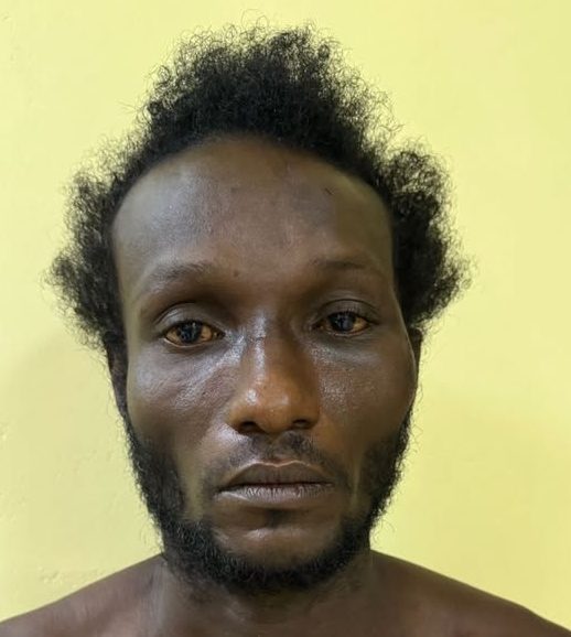 Parfaite Harmonie mason remanded for pensioner’s murder