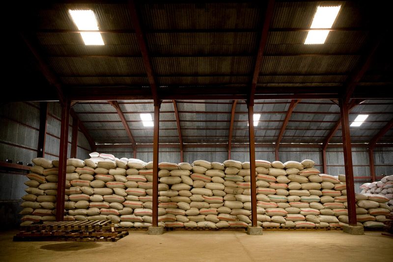 FAO warns of severe global food security risks from disruption to Strait of Hormuz trade corridor