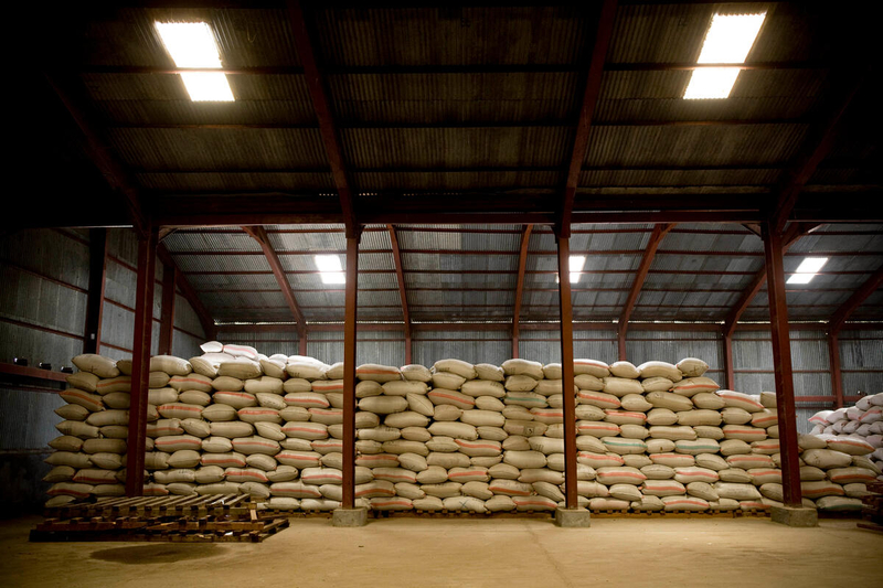 FAO warns of severe global food security risks from disruption to Strait of Hormuz trade corridor