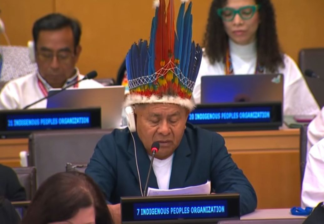 Cultural Exclusion and Mining Encroachment Fuel Indigenous Health Crisis in Guyana - APA President Tells UN Forum