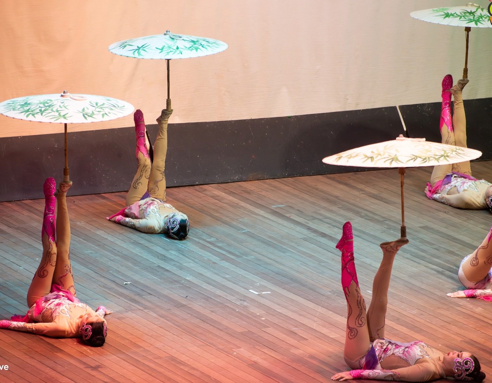 Chinese acrobatic troupe dazzles Guyanese