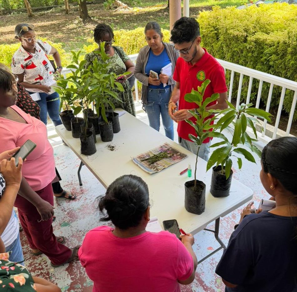 Free agriculture training course targets food security, climate resilience