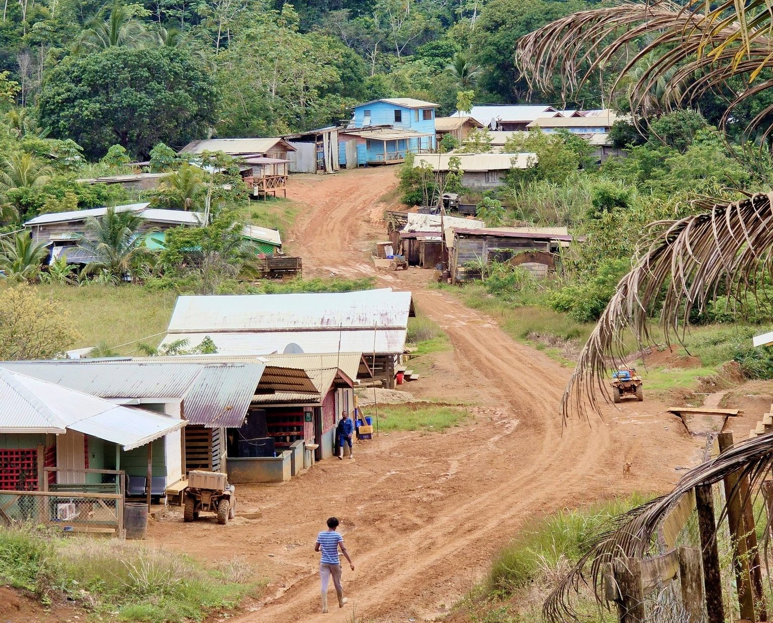 Reg. 1 to spend $114M to build three new primary schools