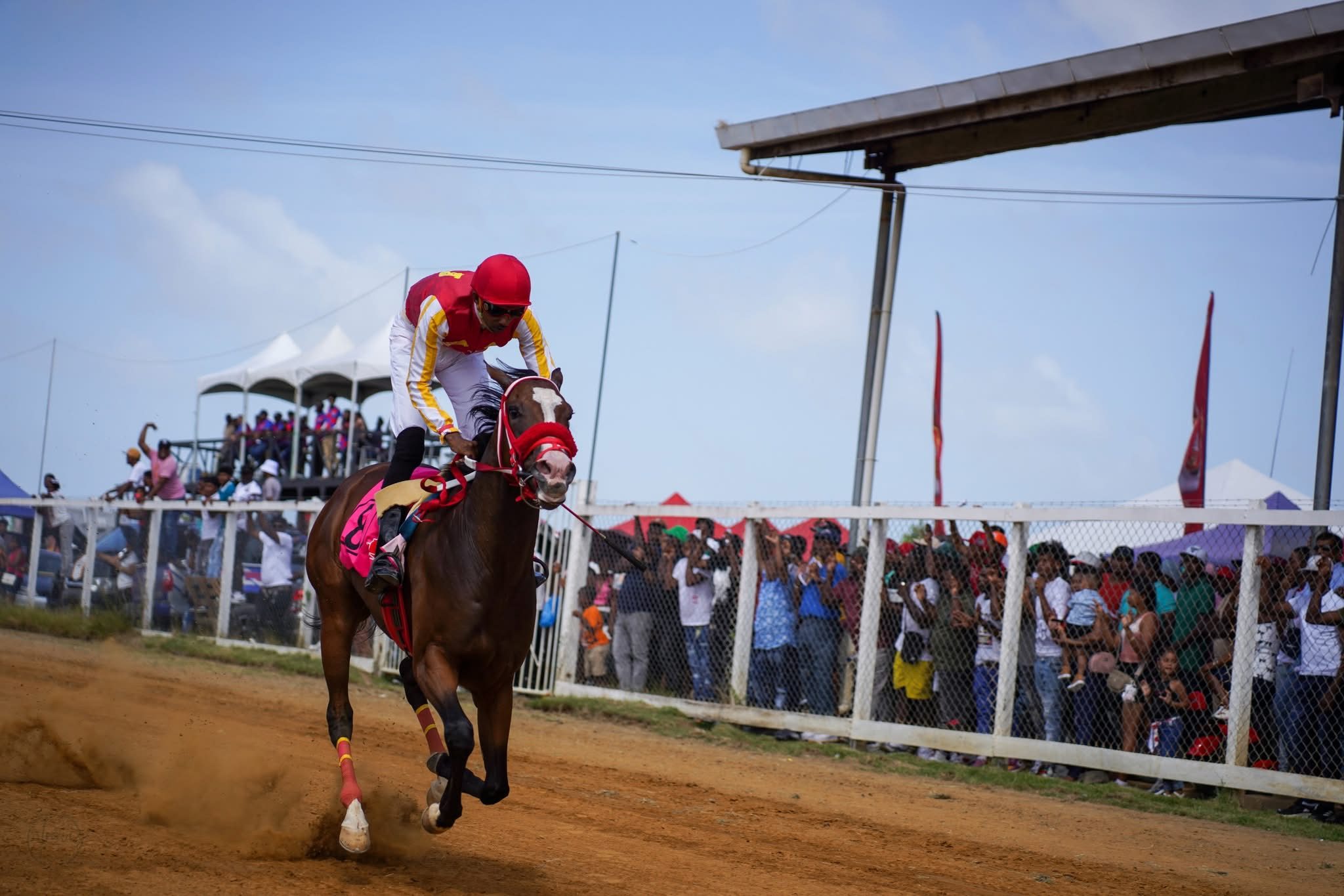 Port Mourant Easter Cup horse race rescheduled to April 26 