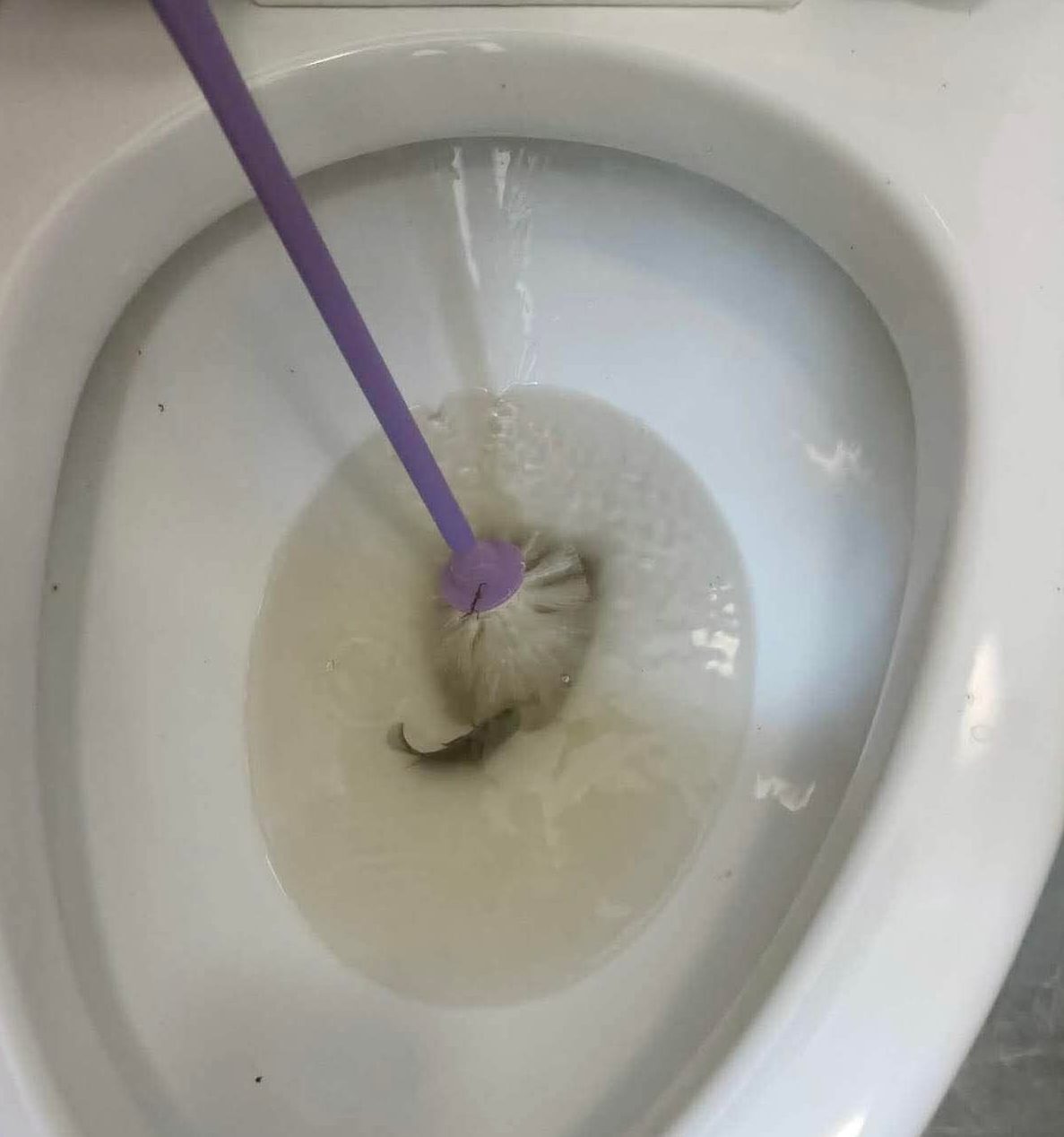 Fish found in toilet, as vandals target newly commissioned Friendship Park facilities