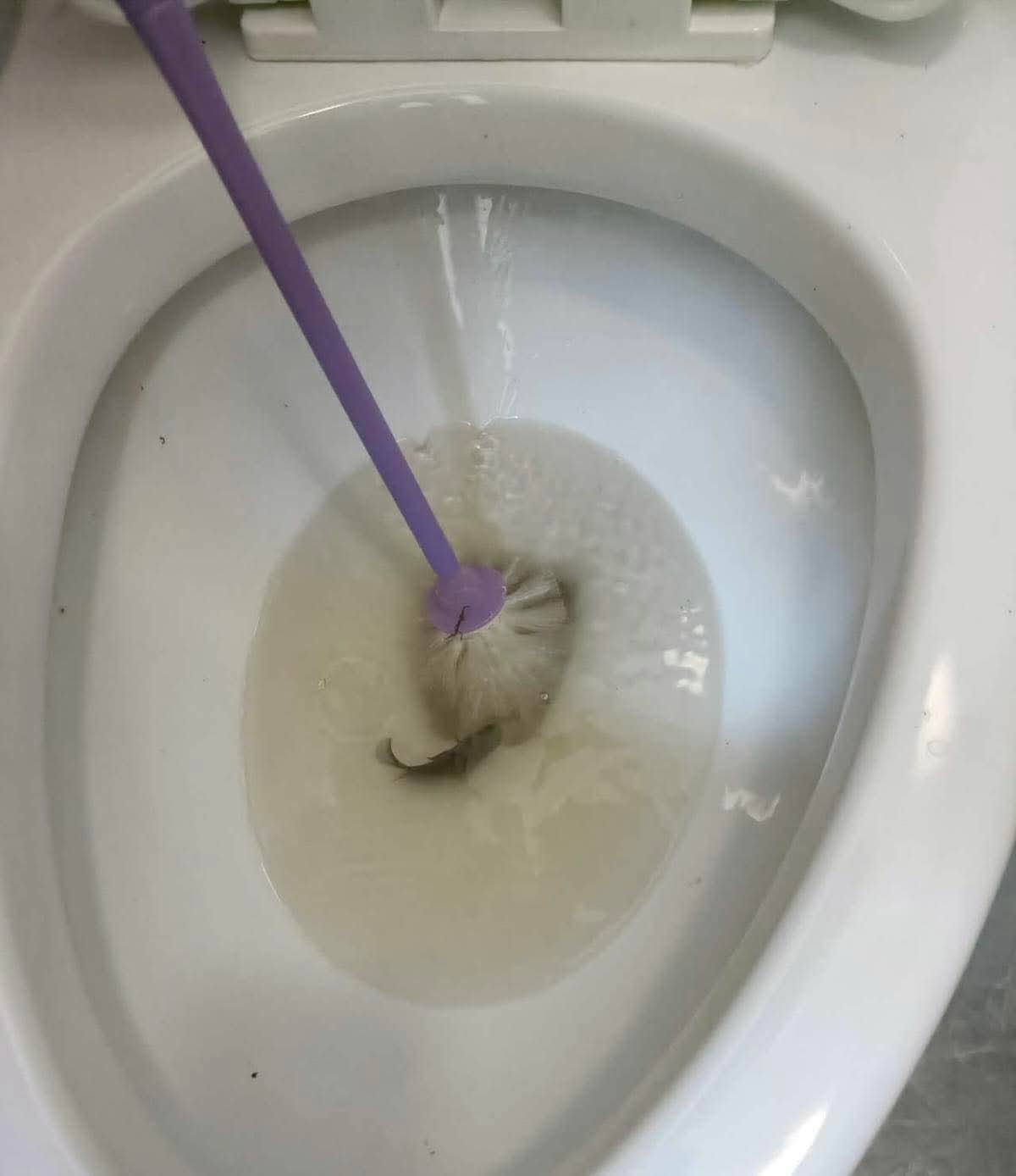 Fish found in toilet, as vandals target newly commissioned Friendship Park facilities